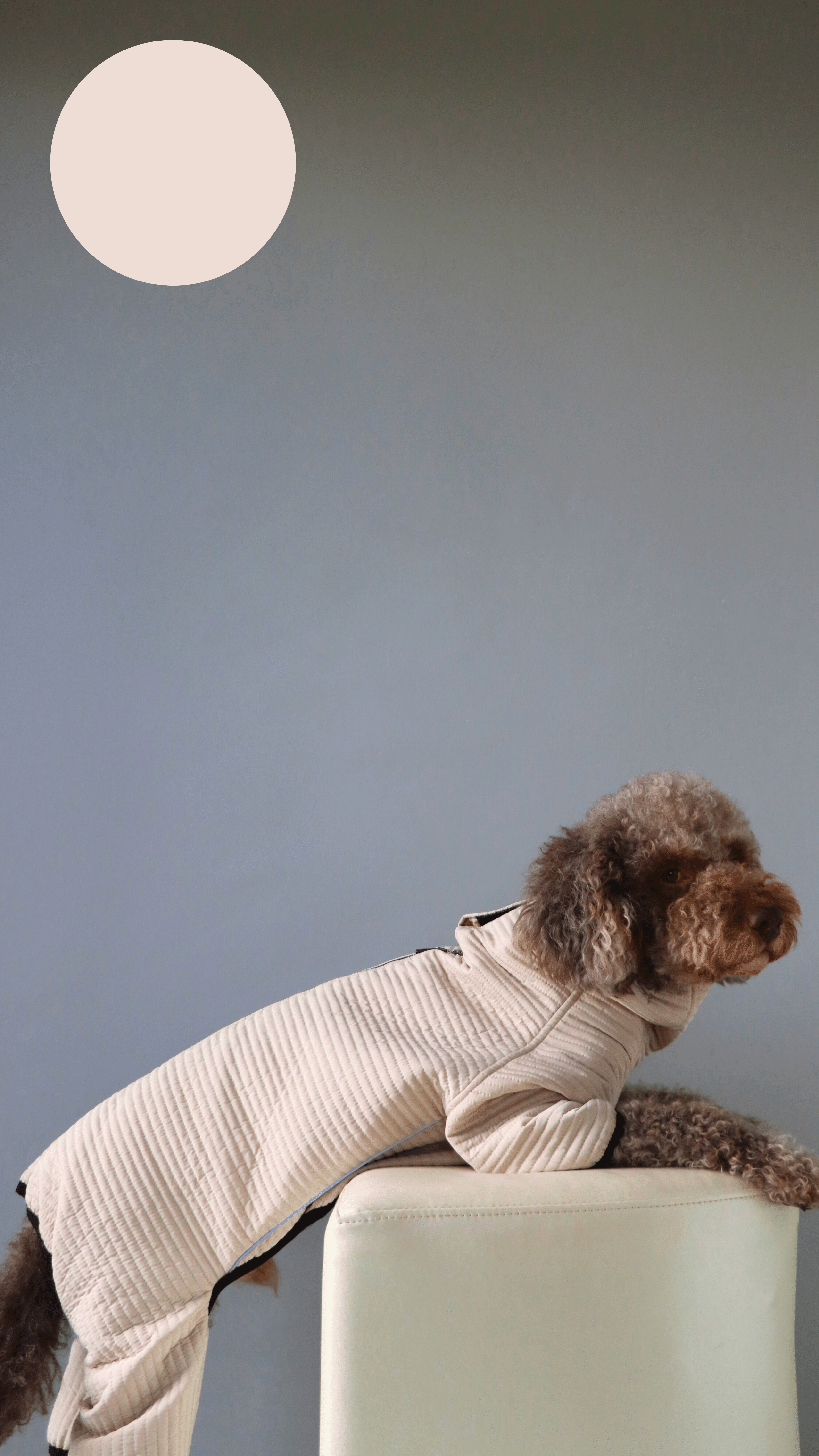 BEIGE MONT